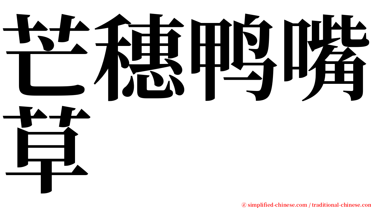 芒穗鸭嘴草 serif font