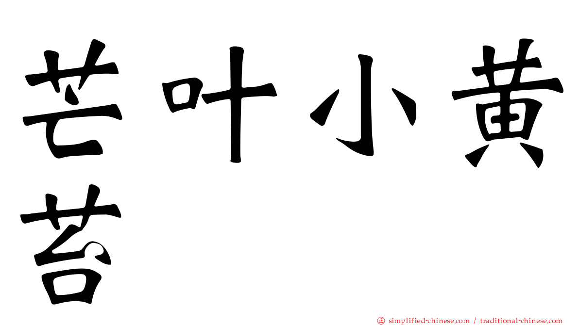 芒叶小黄苔