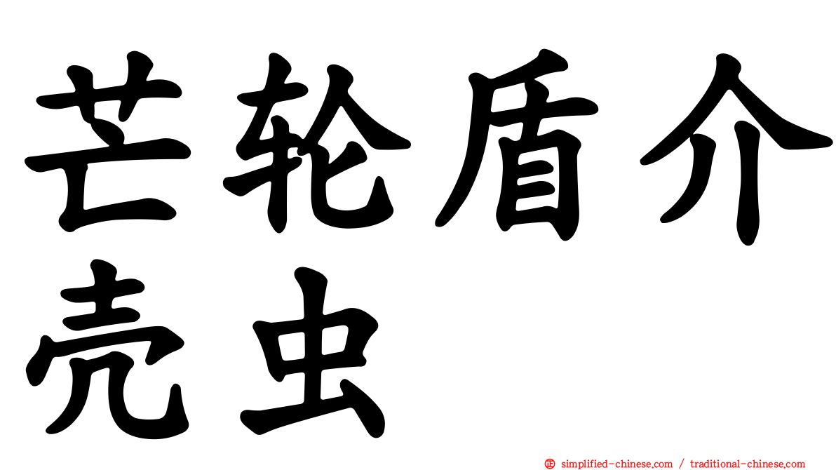 芒轮盾介壳虫