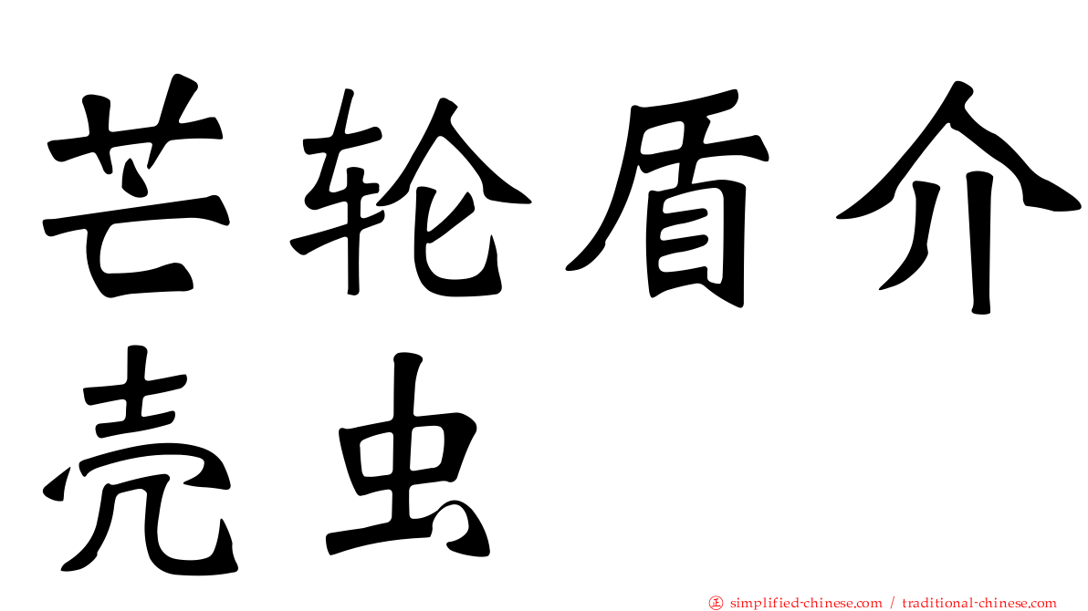 芒轮盾介壳虫