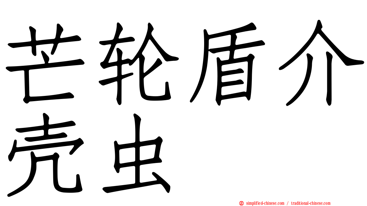 芒轮盾介壳虫