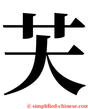 芖 serif font