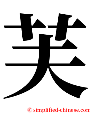 芙 serif font