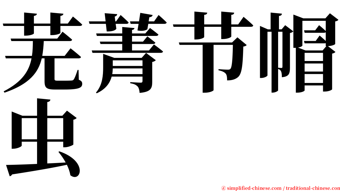 芜菁节帽虫 serif font