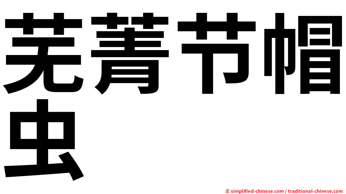 芜菁节帽虫