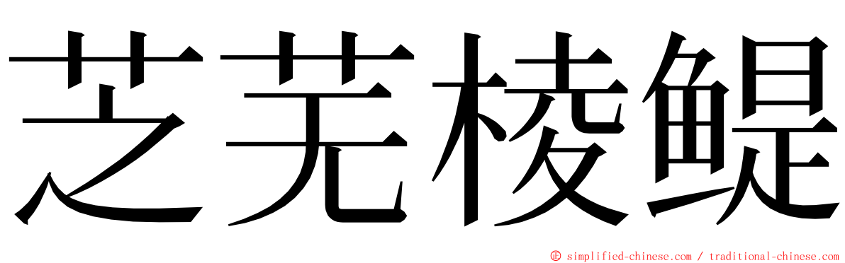 芝芜棱鳀 ming font