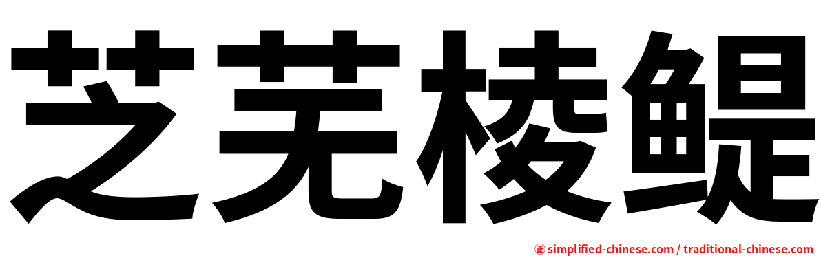 芝芜棱鳀
