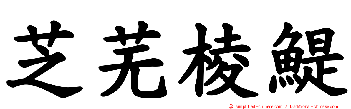 芝芜棱鳀