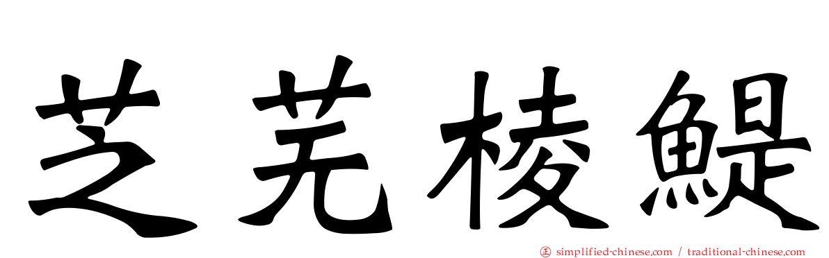 芝芜棱鳀