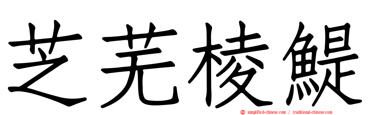 芝芜棱鳀