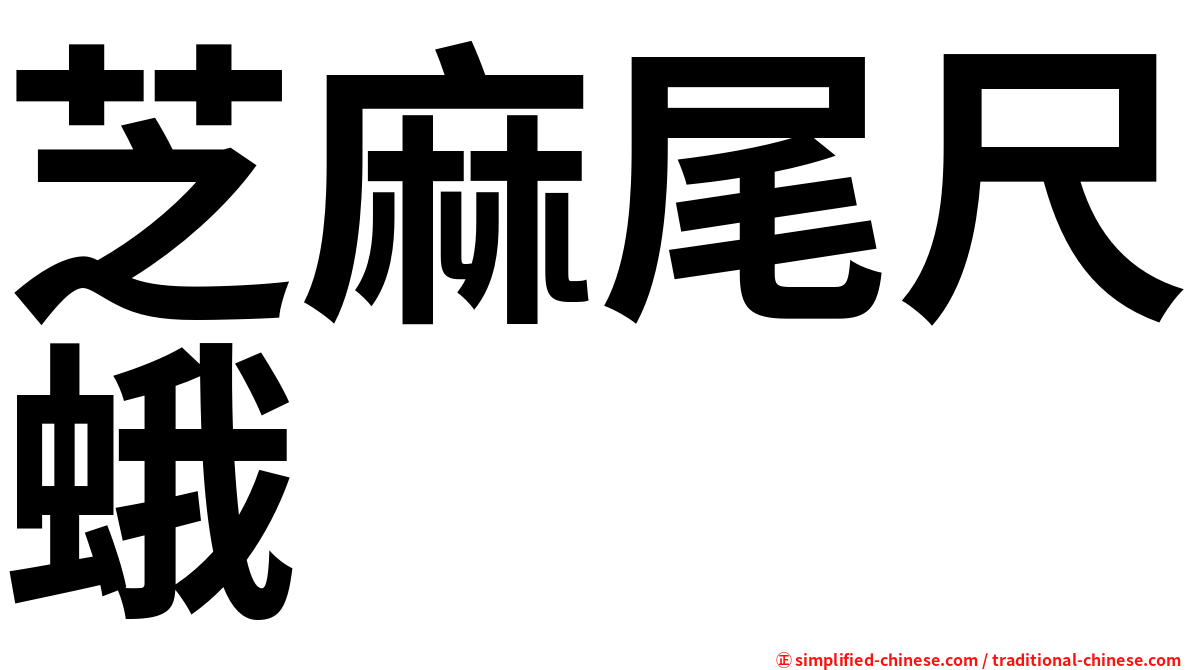 芝麻尾尺蛾