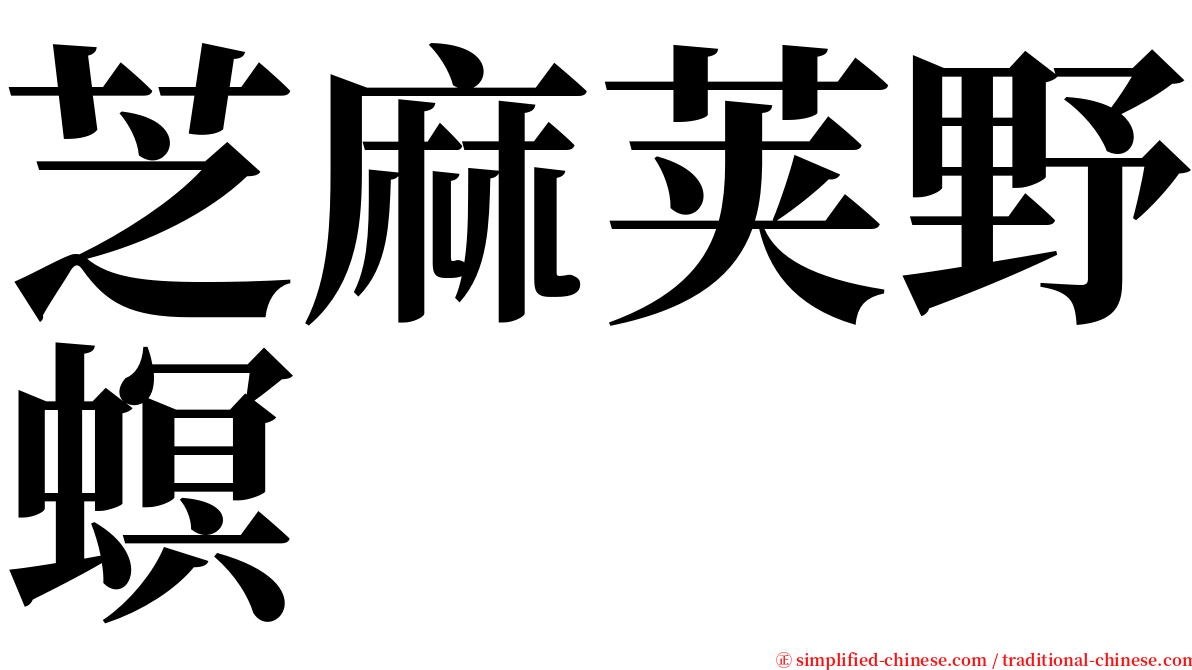 芝麻荚野螟 serif font