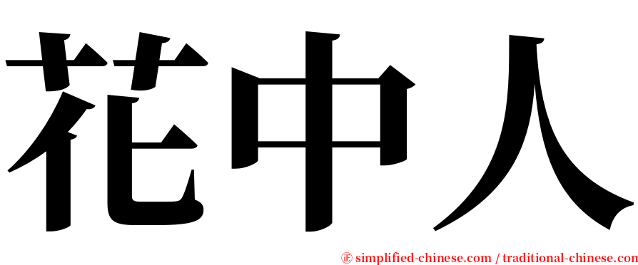 花中人 serif font