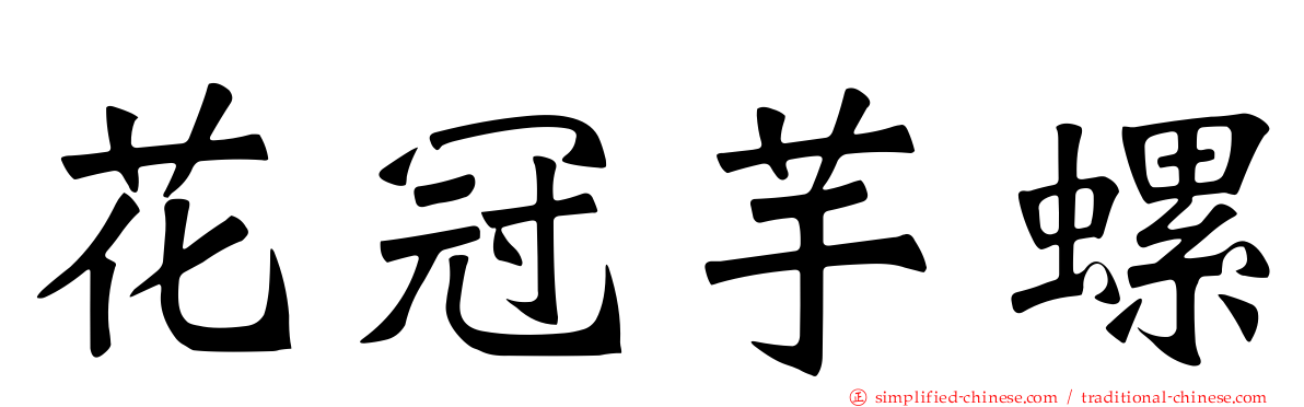 花冠芋螺