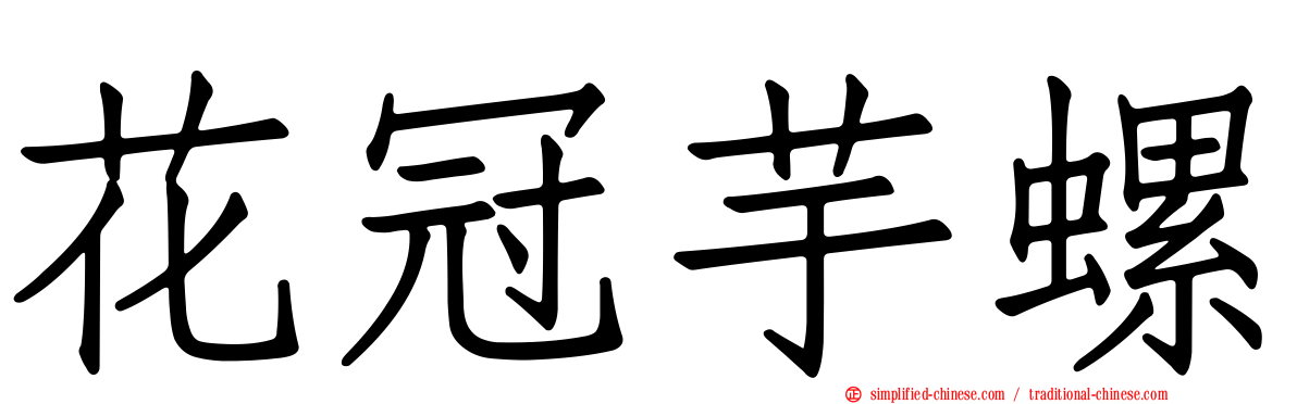 花冠芋螺