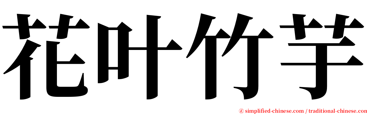 花叶竹芋 serif font
