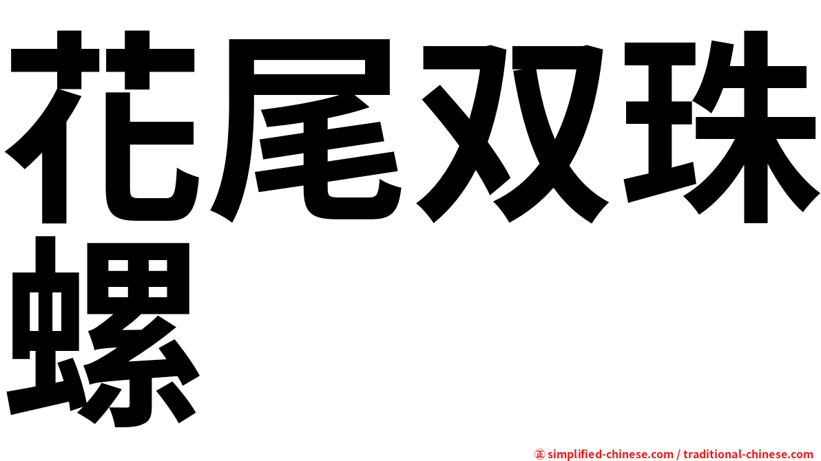 花尾双珠螺