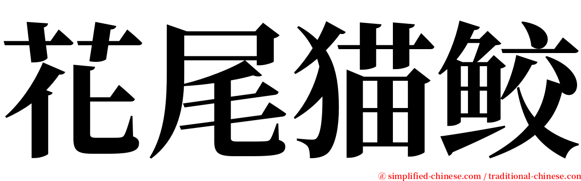 花尾猫鲛 serif font
