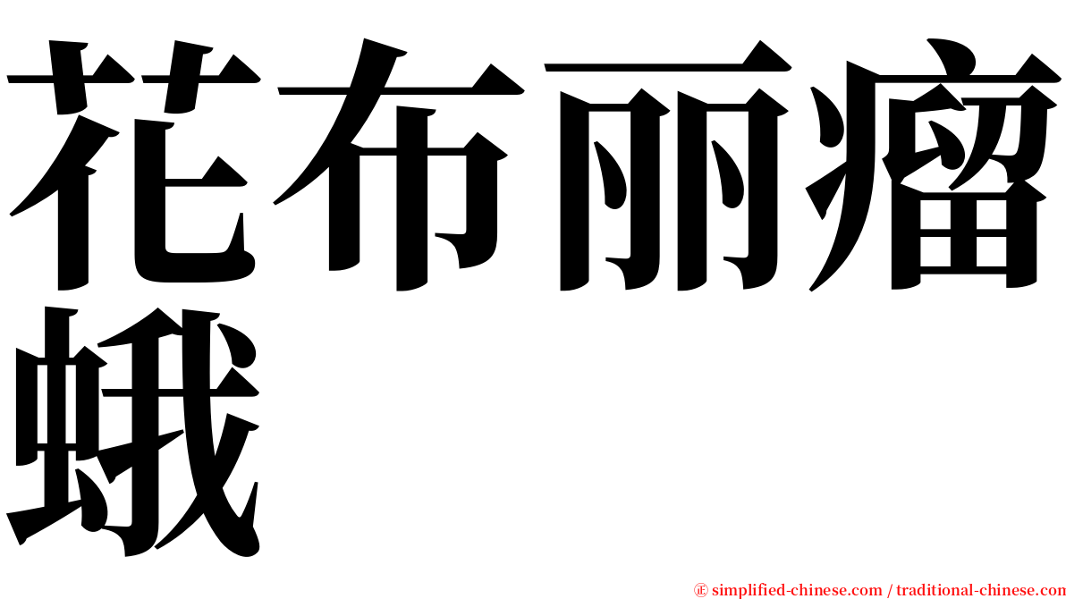 花布丽瘤蛾 serif font