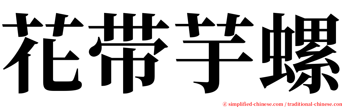 花带芋螺 serif font