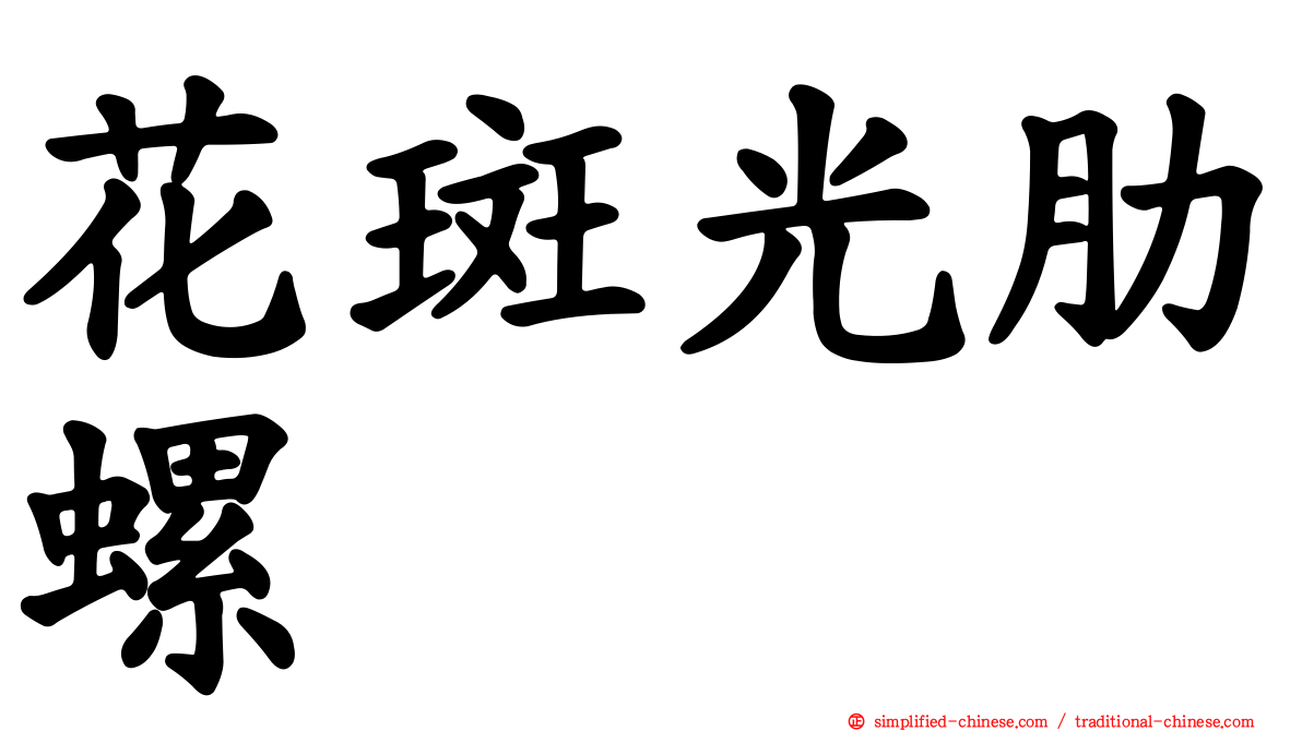 花斑光肋螺