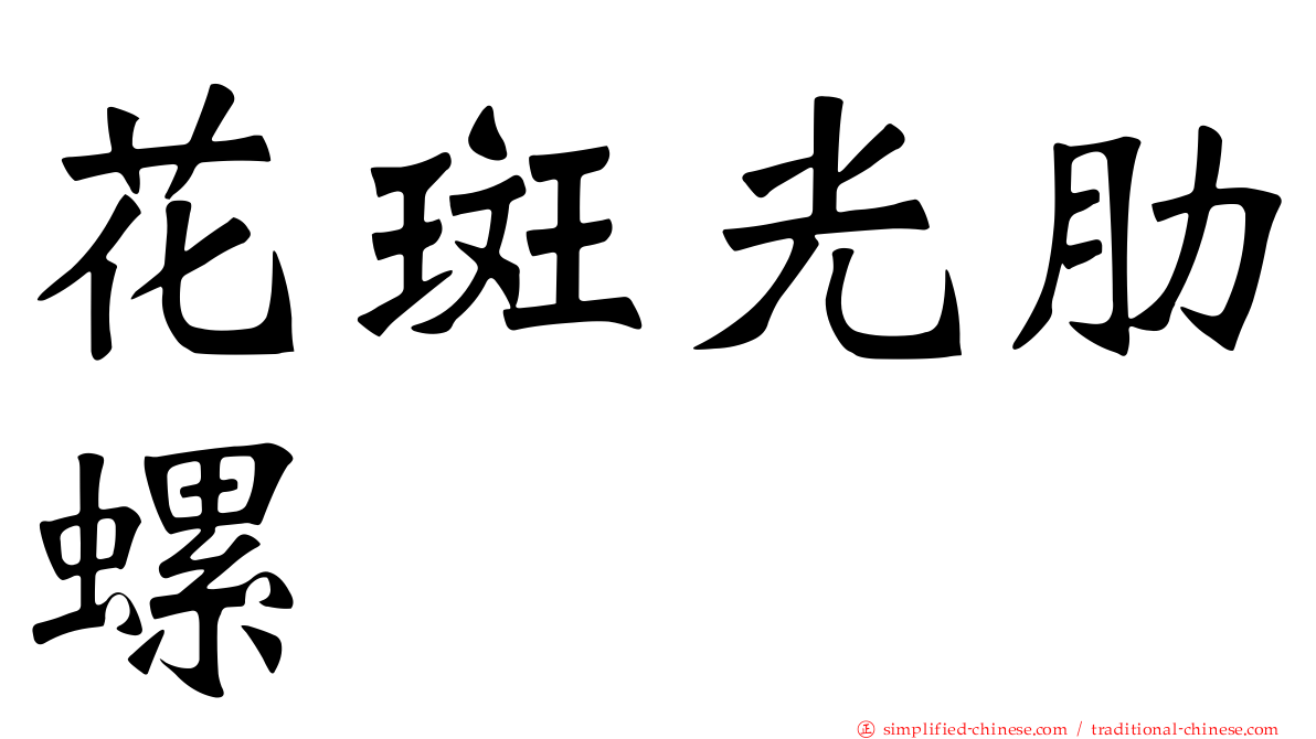 花斑光肋螺