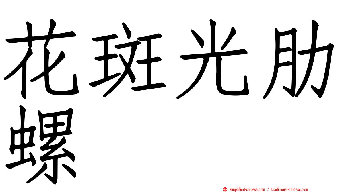 花斑光肋螺