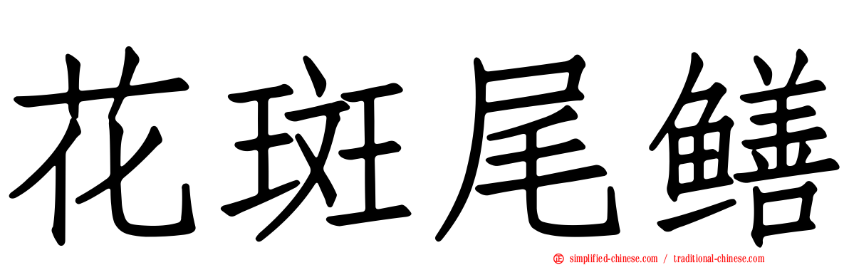 花斑尾鳝
