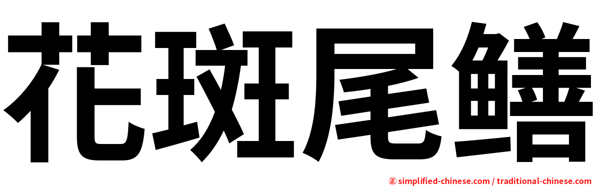 花斑尾鳝