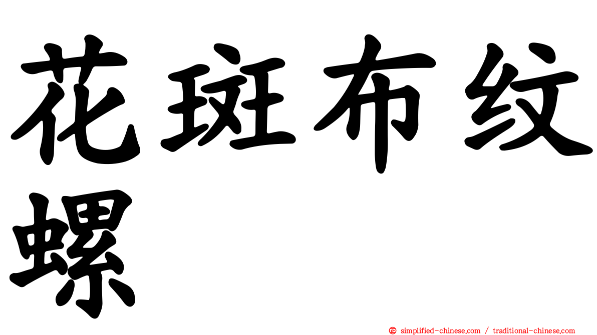 花斑布纹螺