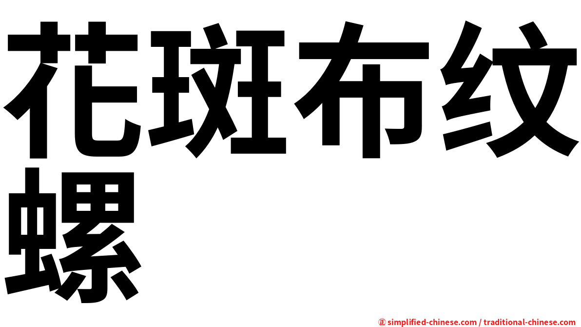 花斑布纹螺