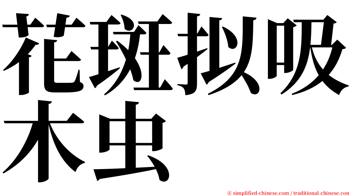 花斑拟吸木虫 serif font