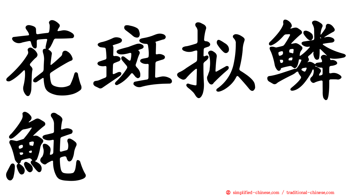 花斑拟鳞鲀