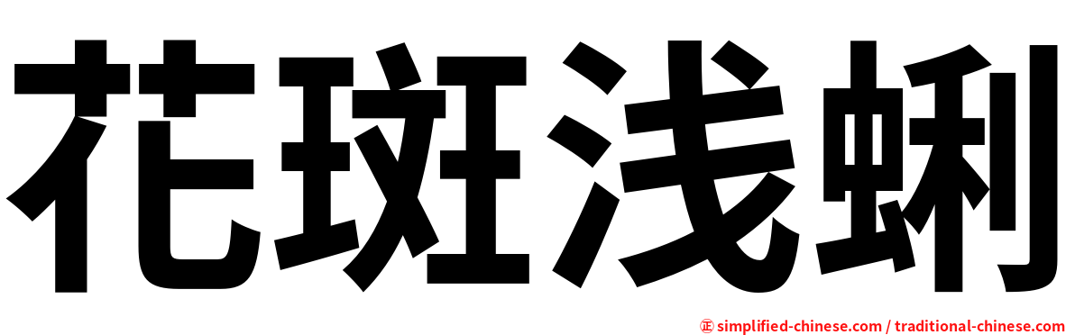 花斑浅蜊