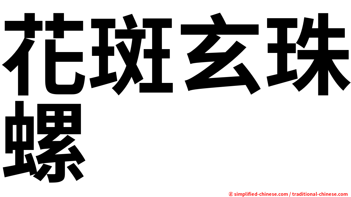 花斑玄珠螺