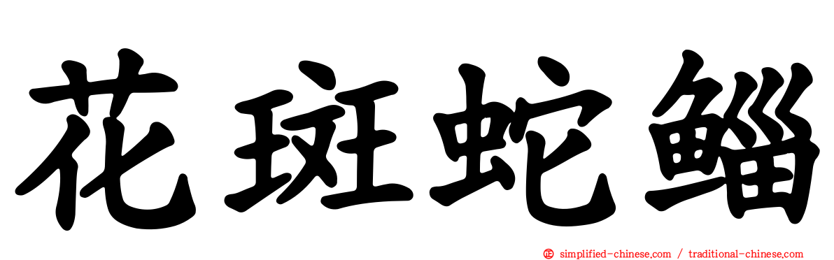 花斑蛇鲻