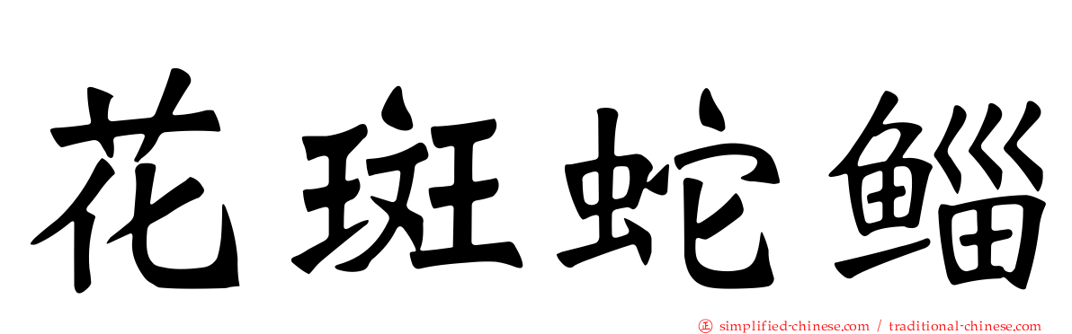 花斑蛇鲻