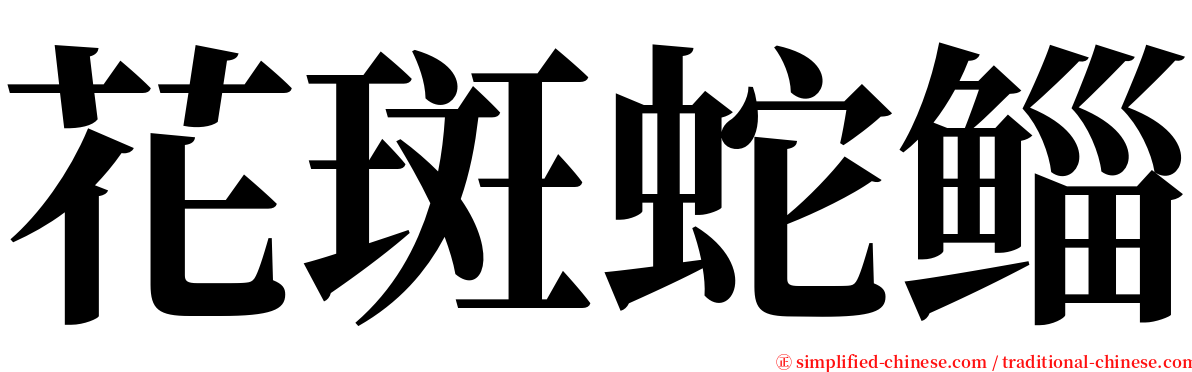 花斑蛇鲻 serif font