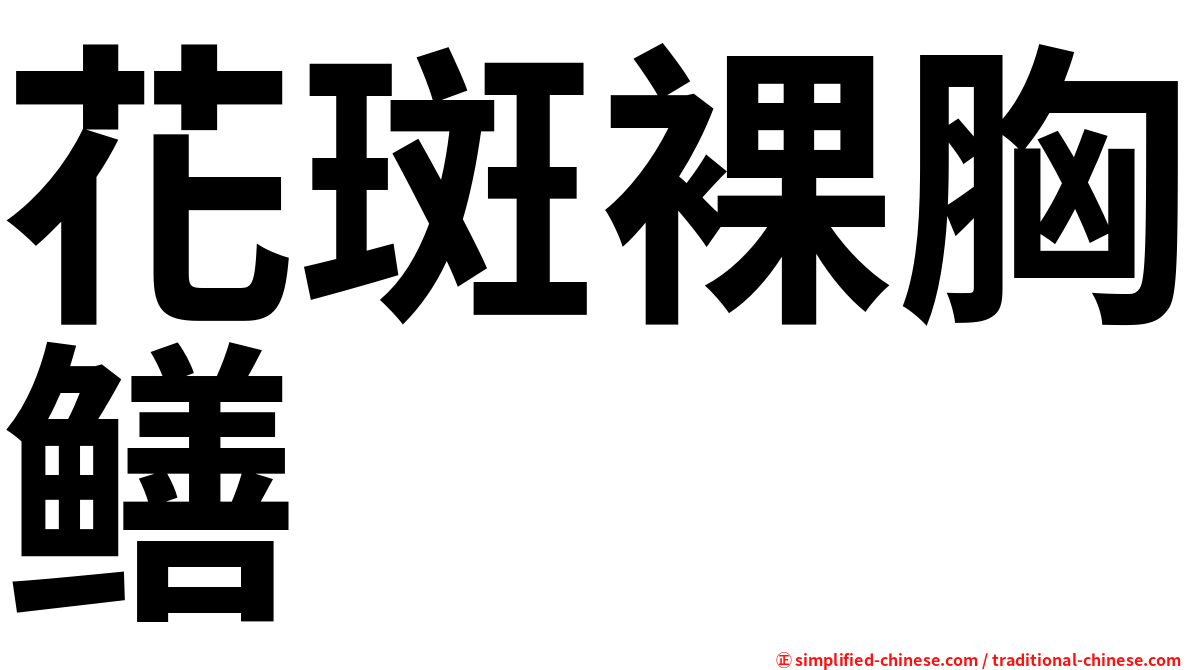 花斑裸胸鳝