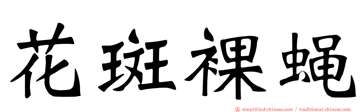 花斑裸蝇