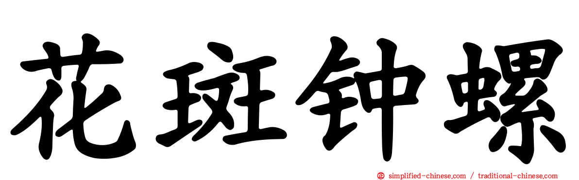 花斑钟螺