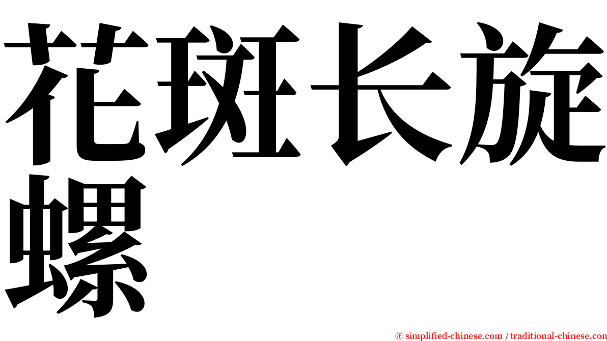 花斑长旋螺 serif font
