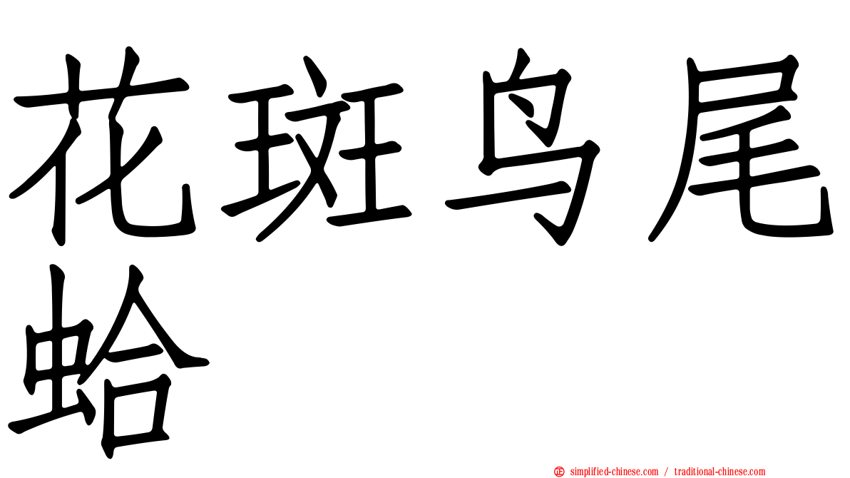 花斑鸟尾蛤