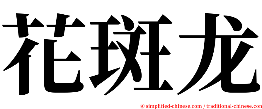 花斑龙 serif font