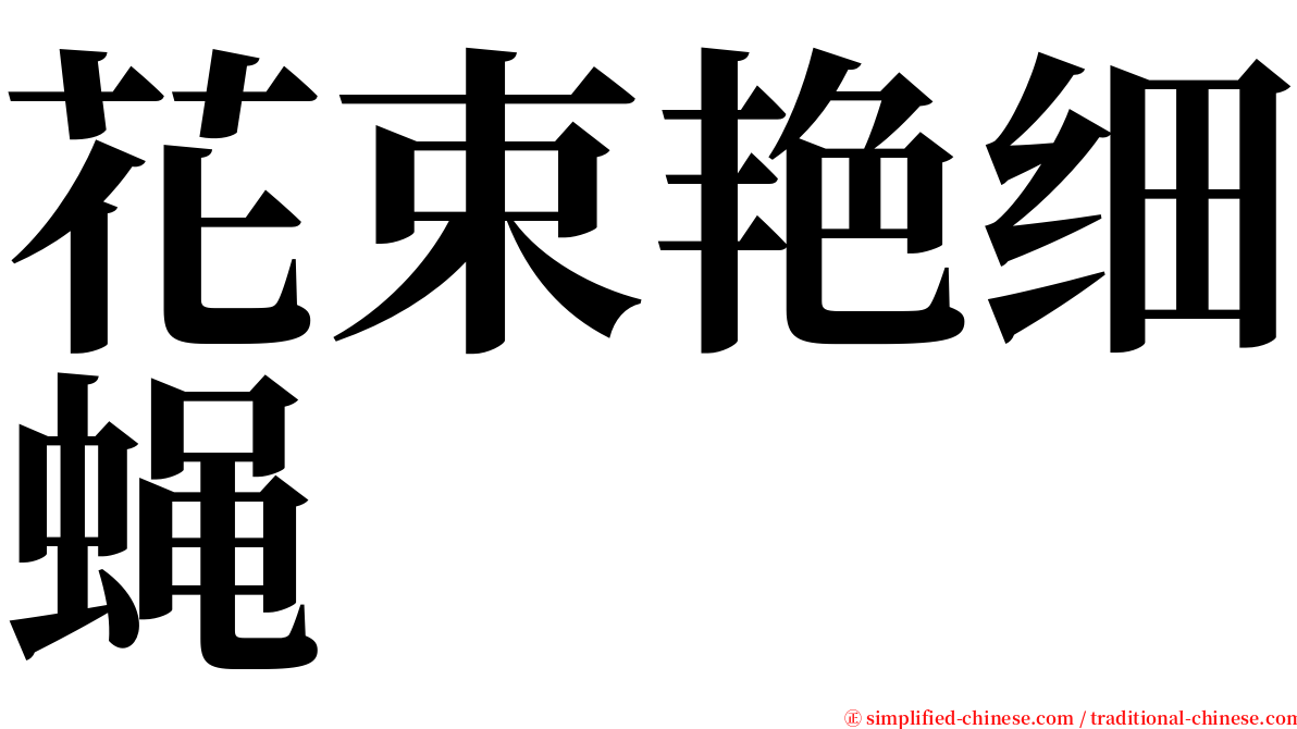 花束艳细蝇 serif font
