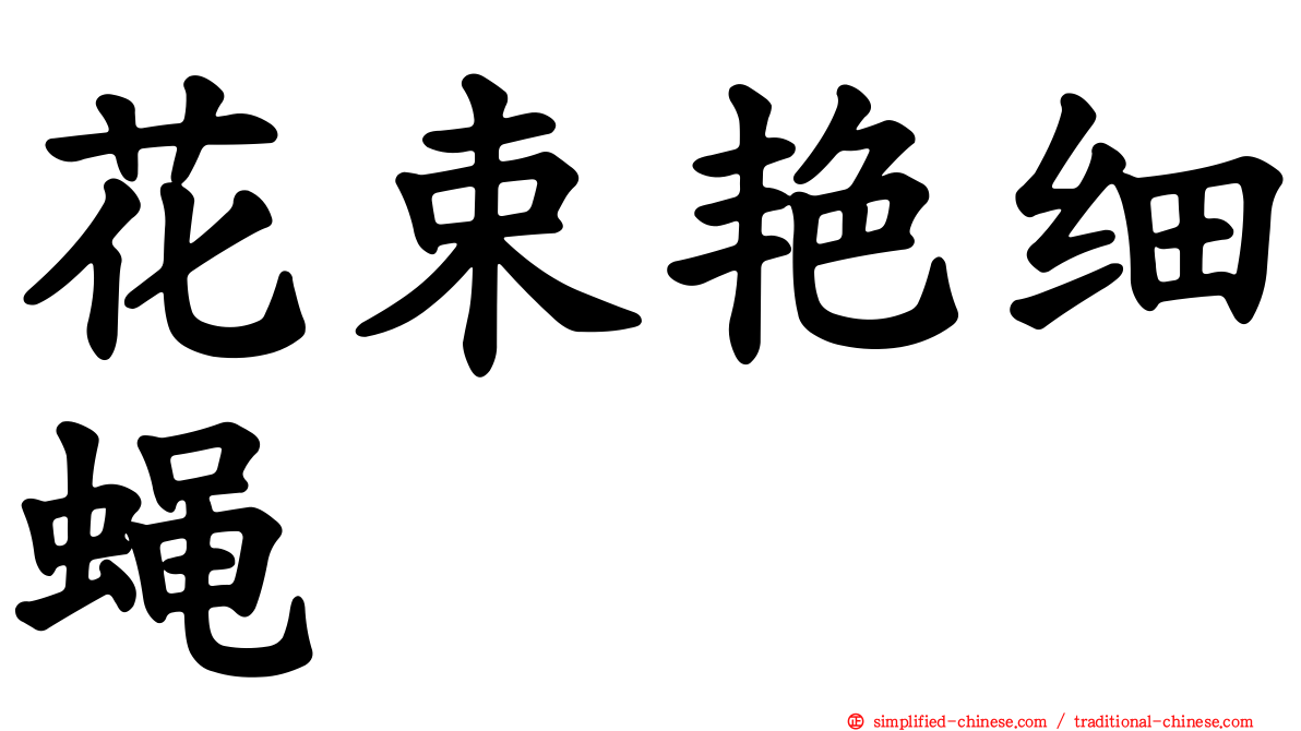 花束艳细蝇