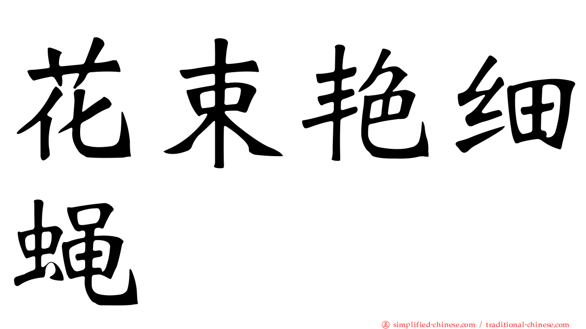 花束艳细蝇