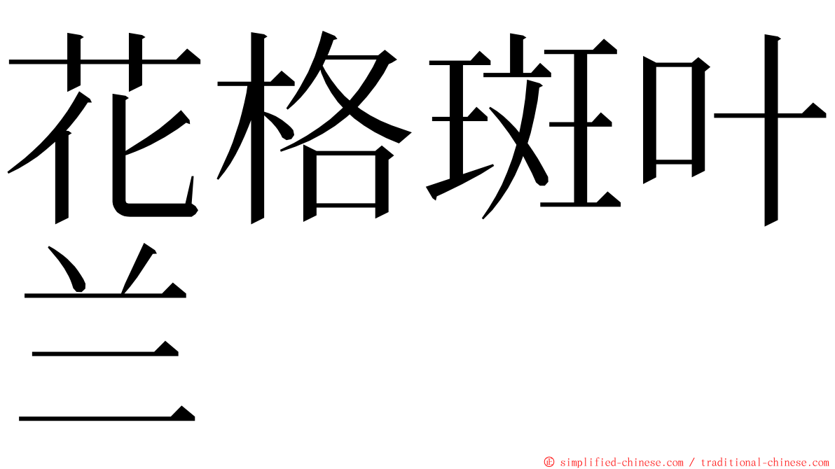 花格斑叶兰 ming font