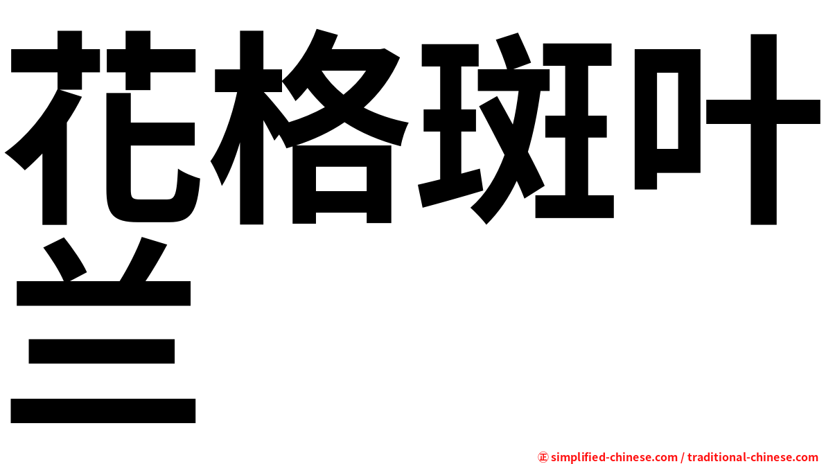 花格斑叶兰