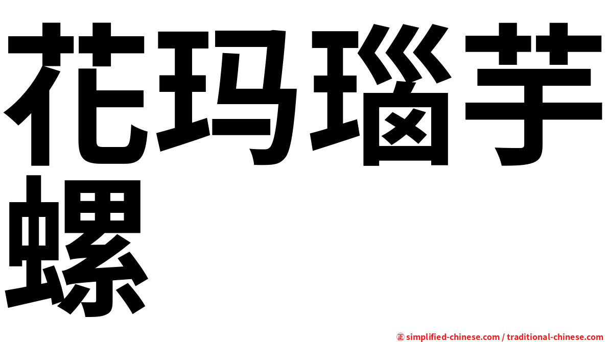 花玛瑙芋螺